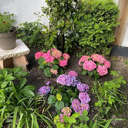 Vivier 4 Personnes Confort Apartamento